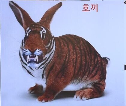 ???: 한반도 호랑이 토끼로 싸우지 마세요_2.jpg