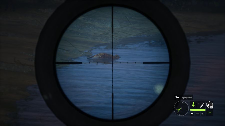 [사냥] 물가에서 밤새면서 지키고 있었더니 수컷 벵골호랑이가 나타났다._2.jpg