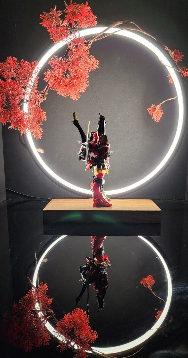 천원돌파 그랜라간! (부분도색)_12.jpg