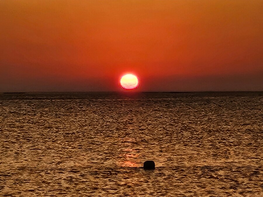 [럽라] 억떡하지 내한 다녀오고 럽라뽕이 다시찬다..._2.jpg