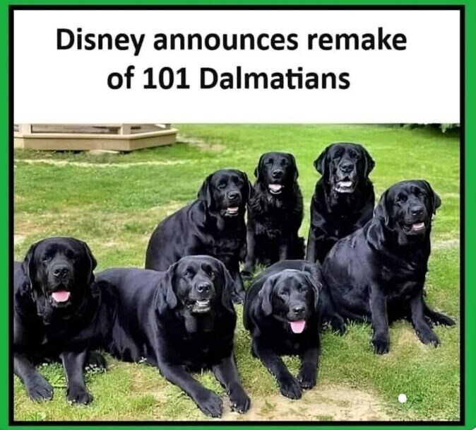 디즈니 리메이크작 "101마리의 달마시안".jpg_2.jpg