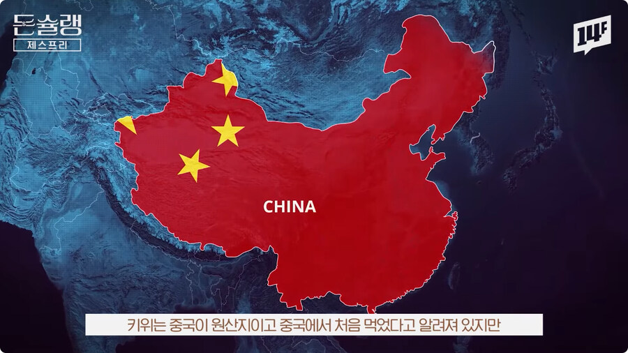 과일 키위 이름의 유래.jpg_1.jpg