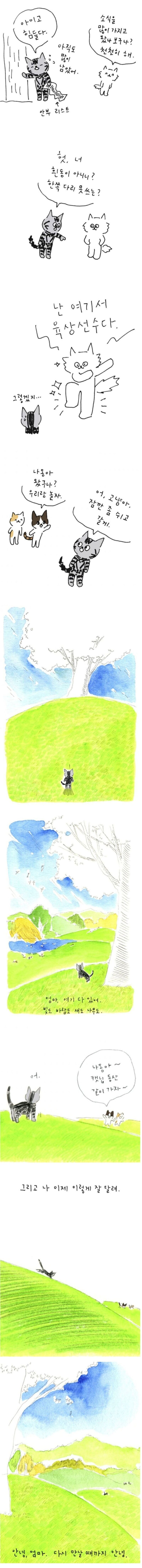 나는 이 이야기를 무척 좋아한다.manhwa_3.jpg