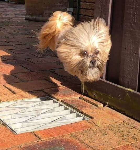 뇌 능욕하는 사진.jpg_14.jpg