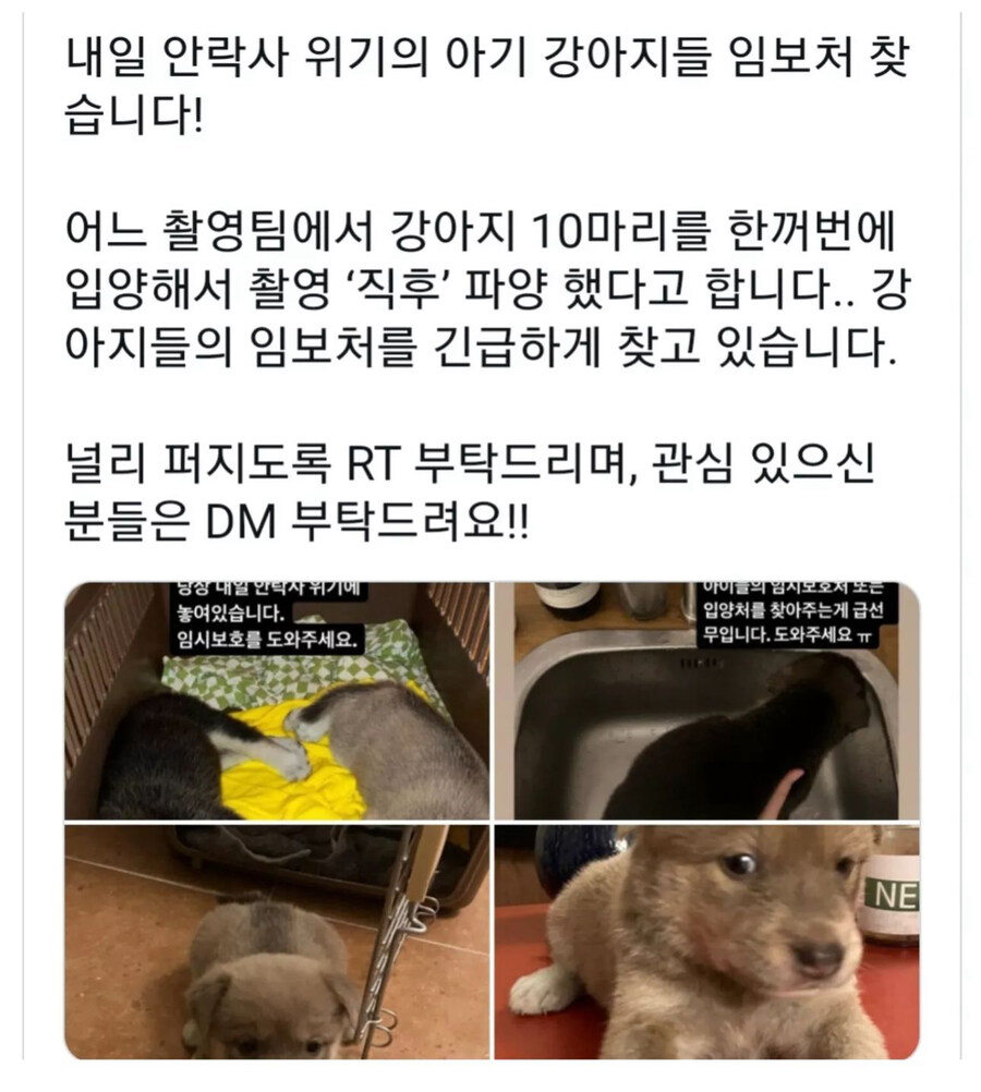 현재 논란중인 촬영팀의 진상짓_1.jpg