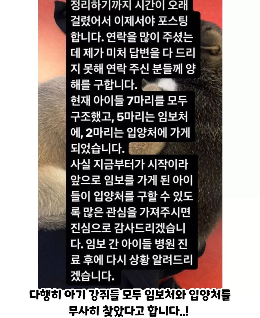 현재 논란중인 촬영팀의 진상짓_5.jpg