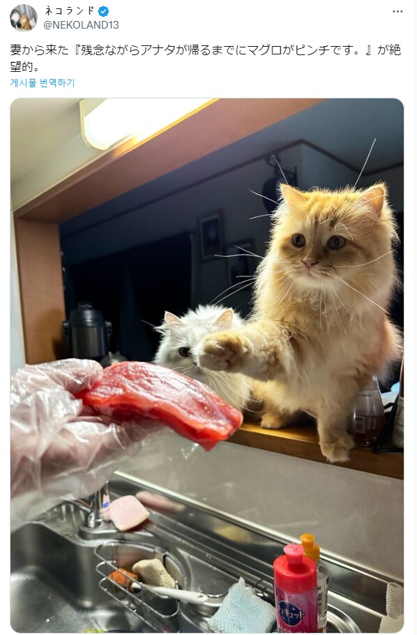 퇴근전에 아내가 보낸 사진.jpg_1.png