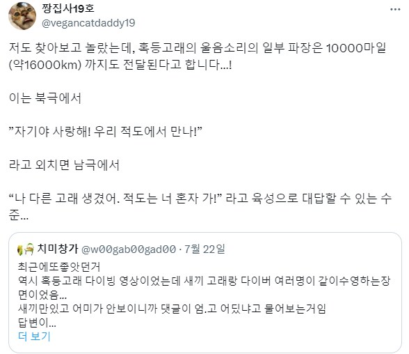 인간과 다른 고래의 거리감각.jpg_2.png
