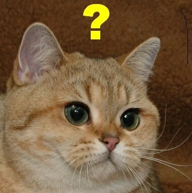 ㅇㅎ) 로스트소드 이 게임 굉장히 골때리네_4.jpg