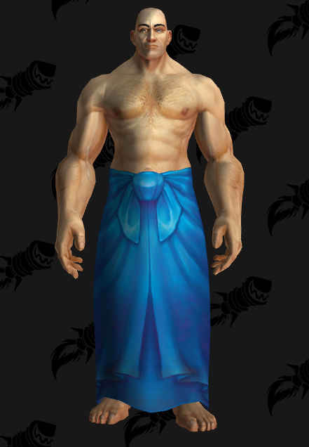 (스압) 와우 8월 공개되지 않은 교역소 아이템 모습들_13.png