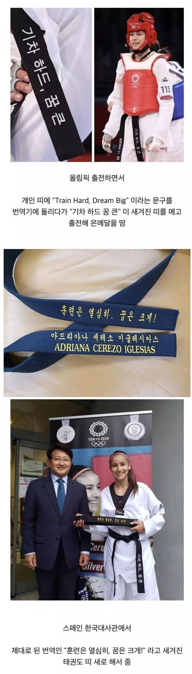 번역기 잘못 돌려서 올림픽 나온 선수_1.jpg