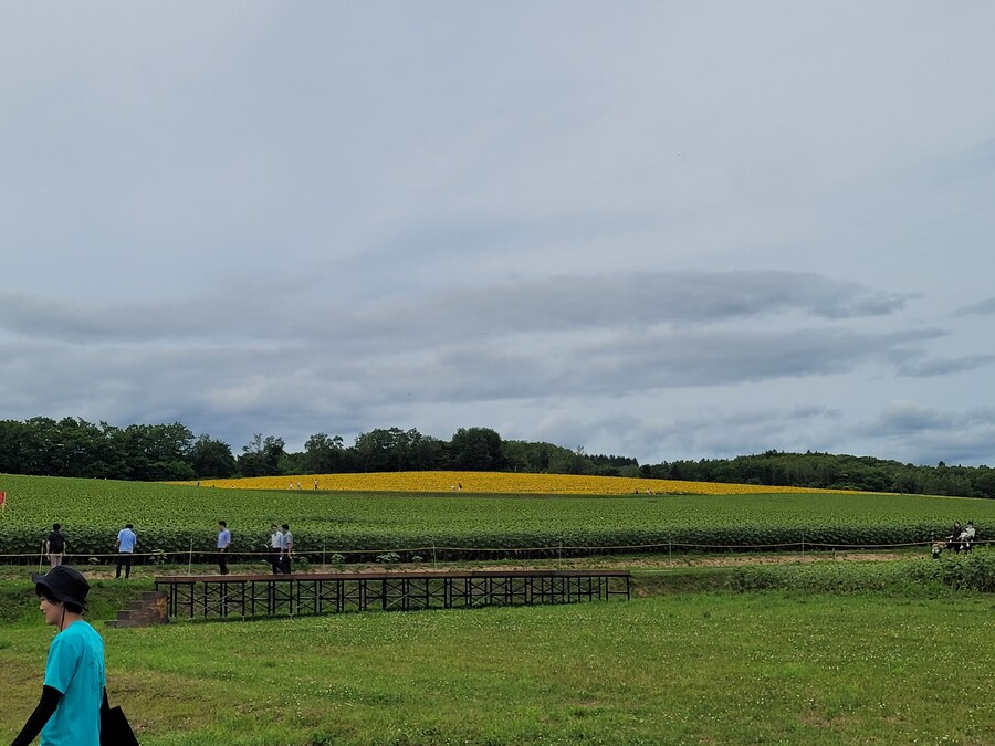 (스압) 5일간의 홋카이도 여행 - 비에이 (3/4)_6.jpg