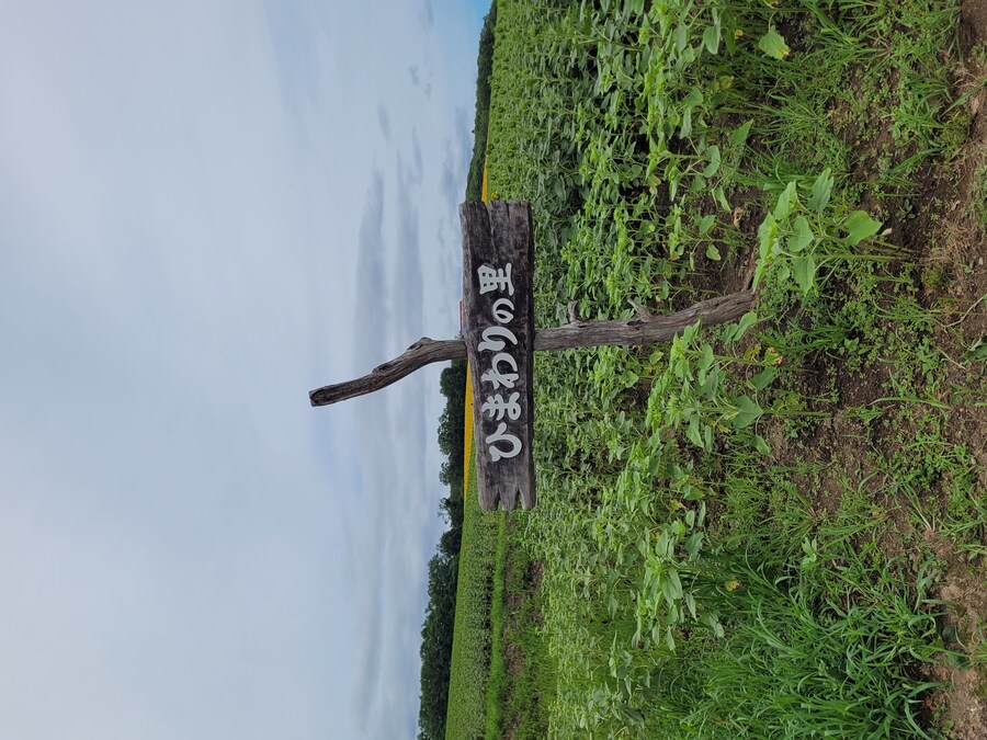 (스압) 5일간의 홋카이도 여행 - 비에이 (3/4)_9.jpg