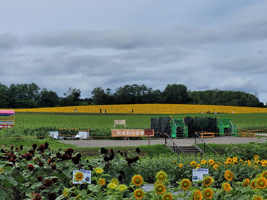 (스압) 5일간의 홋카이도 여행 - 비에이 (3/4)_10.jpg