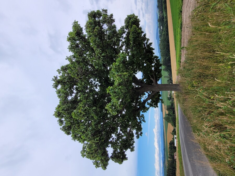 (스압) 5일간의 홋카이도 여행 - 비에이 (3/4)_15.jpg