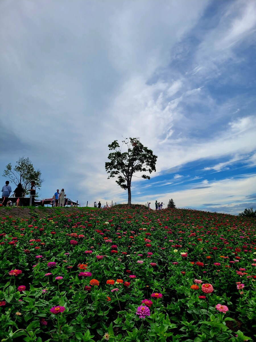 (스압) 5일간의 홋카이도 여행 - 비에이 (3/4)_30.jpg