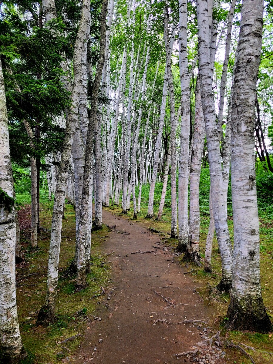 (스압) 5일간의 홋카이도 여행 - 비에이 (3/4)_35.jpg