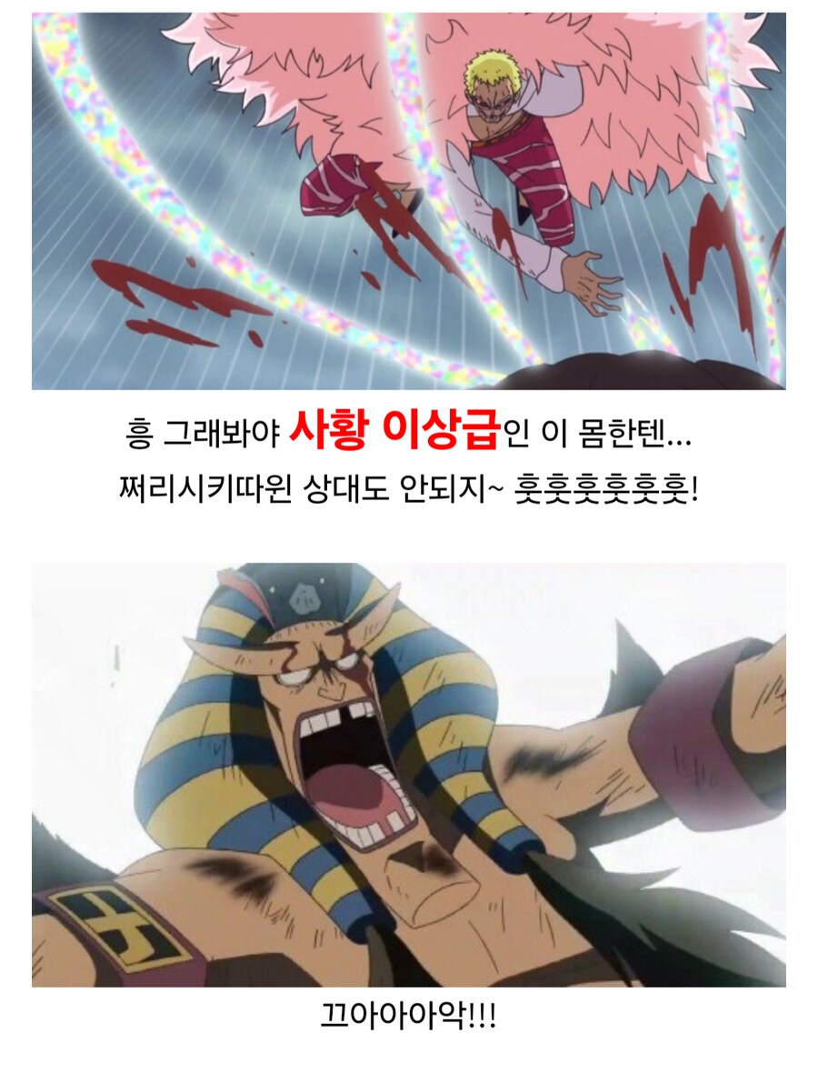 원피스 1123화 스포)츠루가 사망하고 나서.._2.png