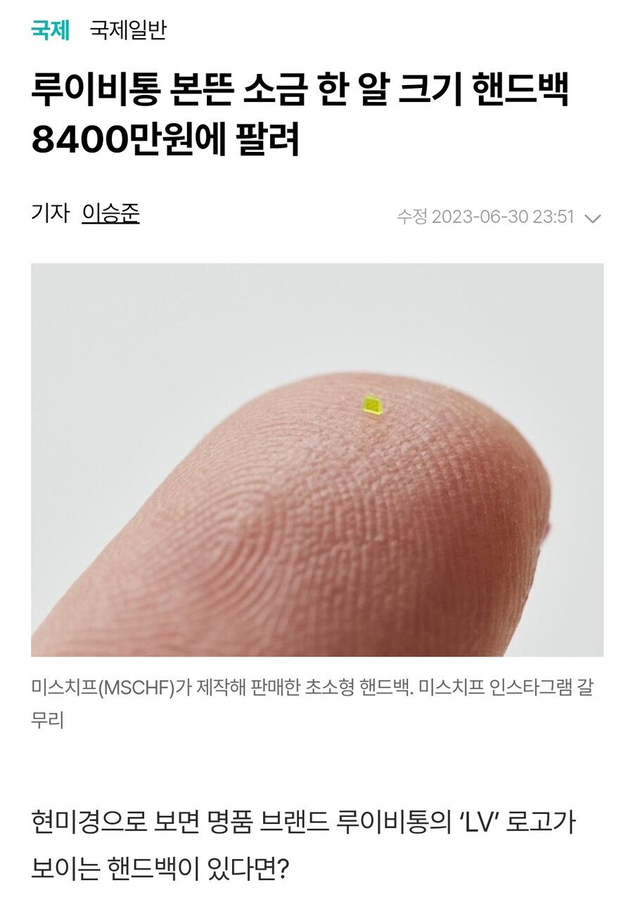 8,400만원에 팔린 루이비통 백을 수백배 확대해서 본 결과.jpg_2.jpg