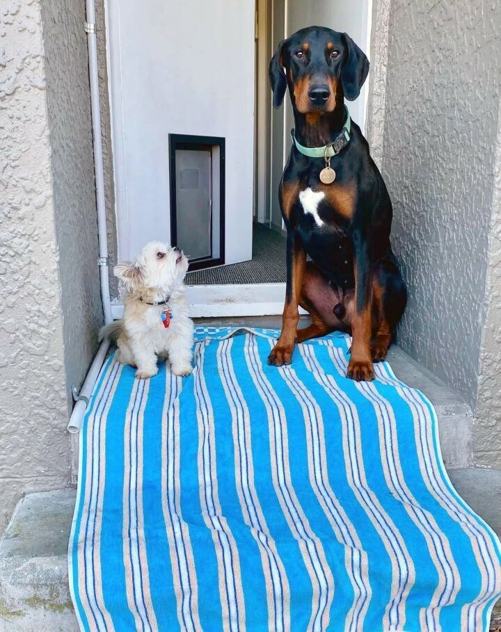 남동생이 커져버렸어요.._2.jpg