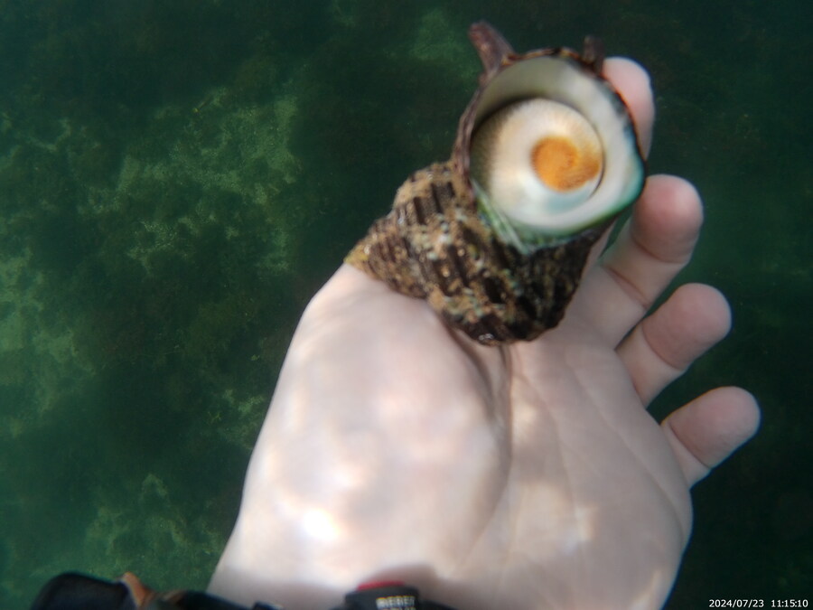 제주도에서 스노클링 하고 왔습니다._21.jpg