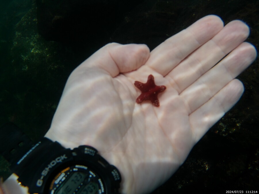 제주도에서 스노클링 하고 왔습니다._38.jpg