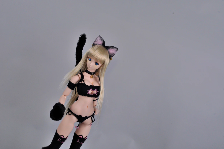 냥! 냥! 냥제리.._18.webp