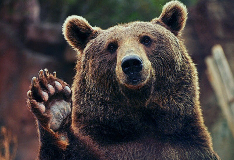 엑박) 곰세트 나눔 부탁드립니다._1.jpg