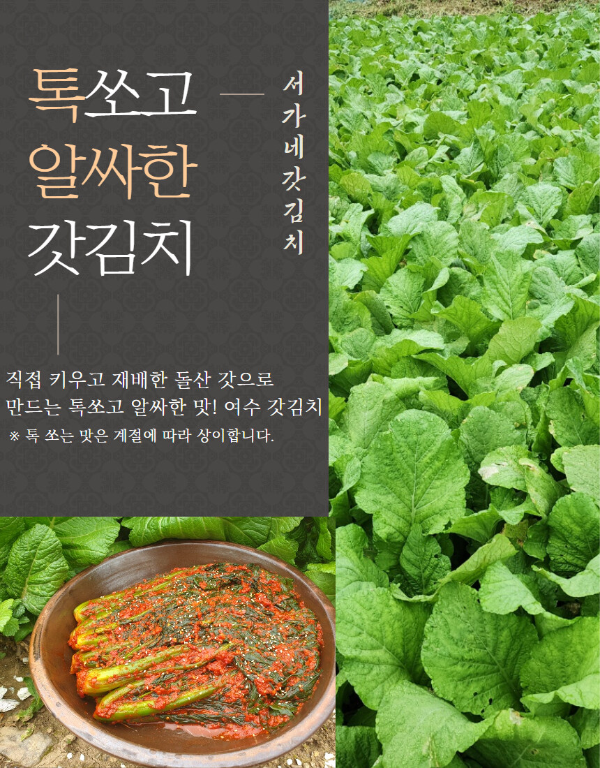 [네이버]여수 돌산갓김치 1kg+갈치속젓 추가 이벤트중~_6.jpg