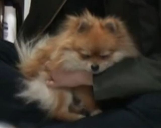 제작진과 댕댕이.jpg_4.jpg