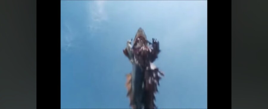 전대물)여성멤버가 괴수를 유인한 방법_22.jpg