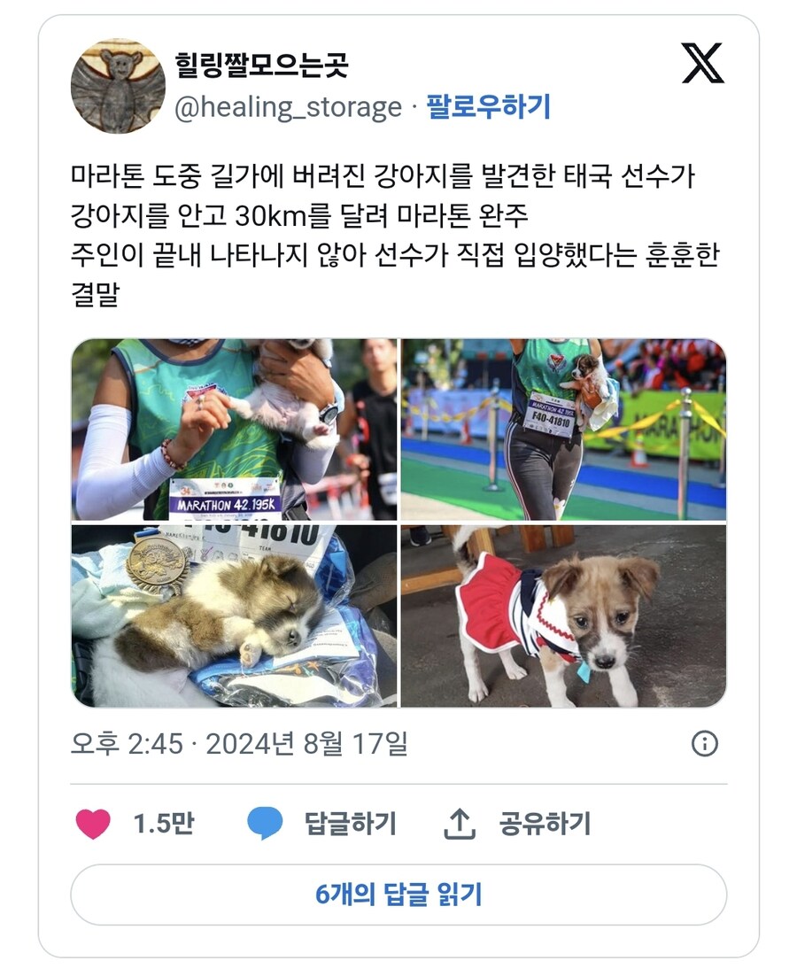 마라톤 도중 길가에 버려진 강아지를 발견한 태국 선수_1.jpg