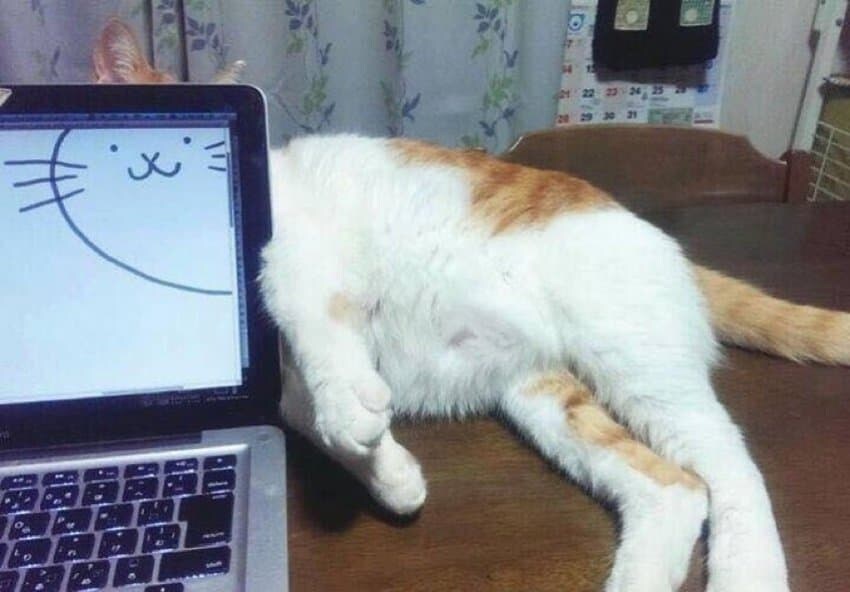 야 나 베스트 가고싶어_6.jpg