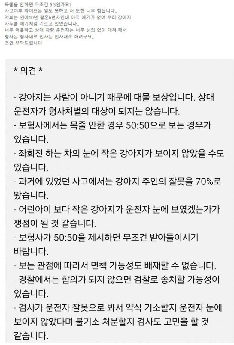 목줄 안한 우리 강아지가 사고 당했습니다_1.jpg
