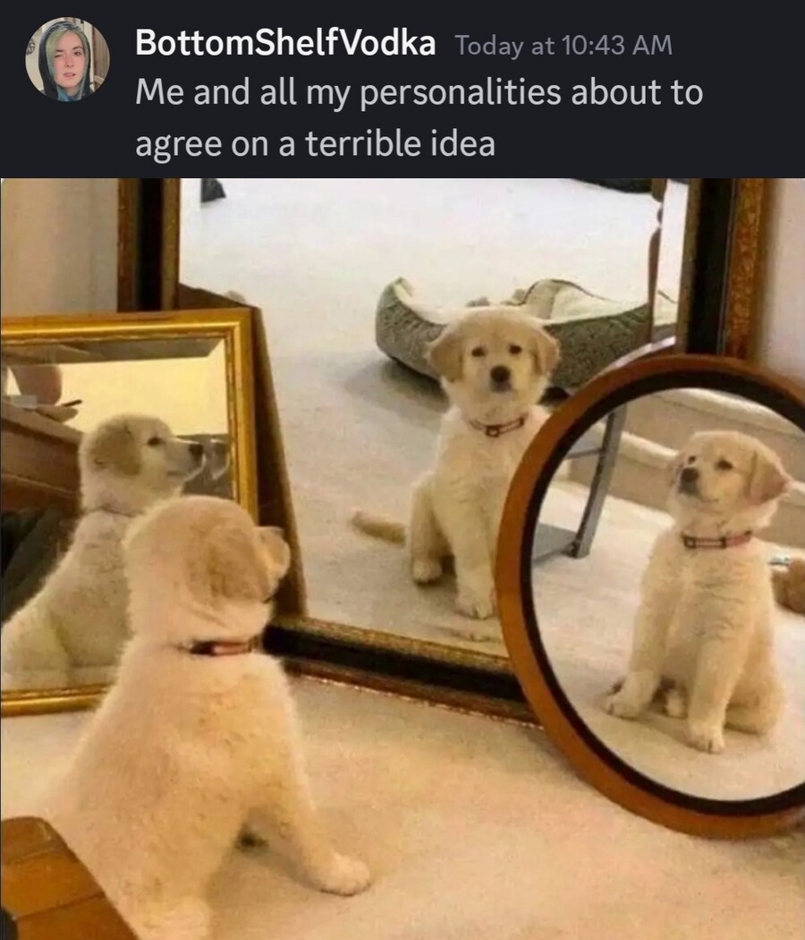 내면의 자신들과 회의하는 멍멍이.jpg_1.jpg