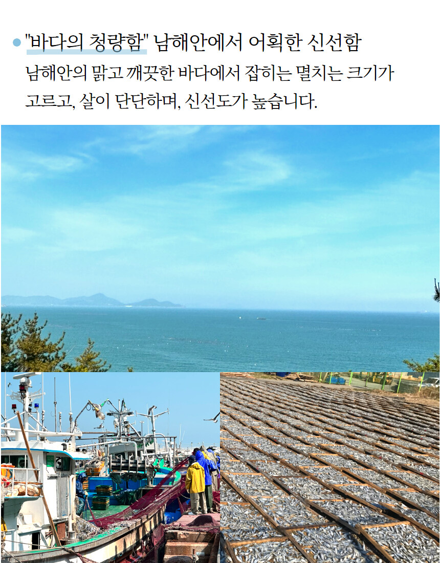 [네이버 쇼핑] 최상급 국내산 다시 멸치 500g을 2만원에 가져갈 수 있어요~_10.jpg