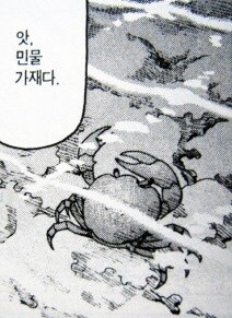 정발을 해도 문제임_8.jpg