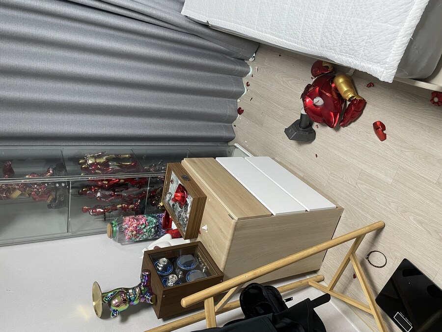 대형사고 친 고양이 루이_3.jpg