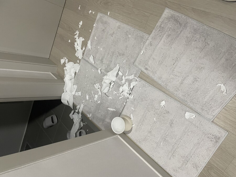 대형사고 친 고양이 루이_16.jpg