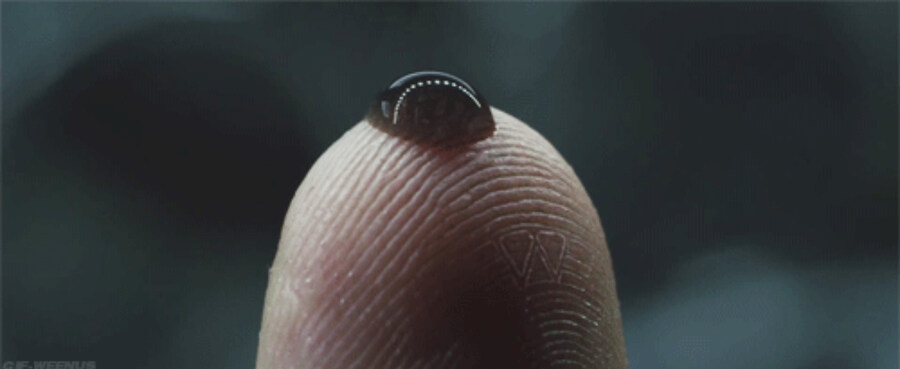 에일리언) 팬들도 잘 모르는 페이스허거의 설정변경.jpg_3.jpg