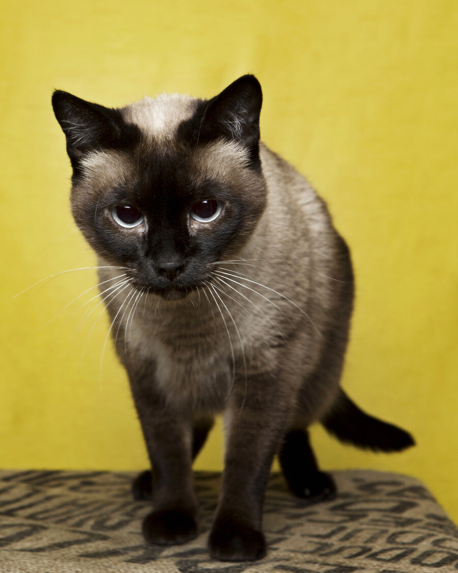 샤인이 보고가세요_1.jpg