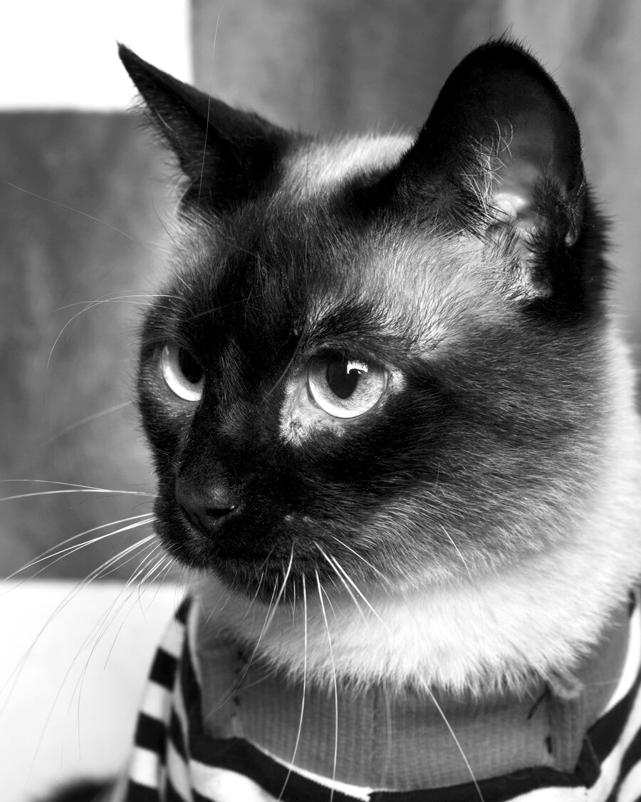 샤인이 보고가세요2_2.jpg