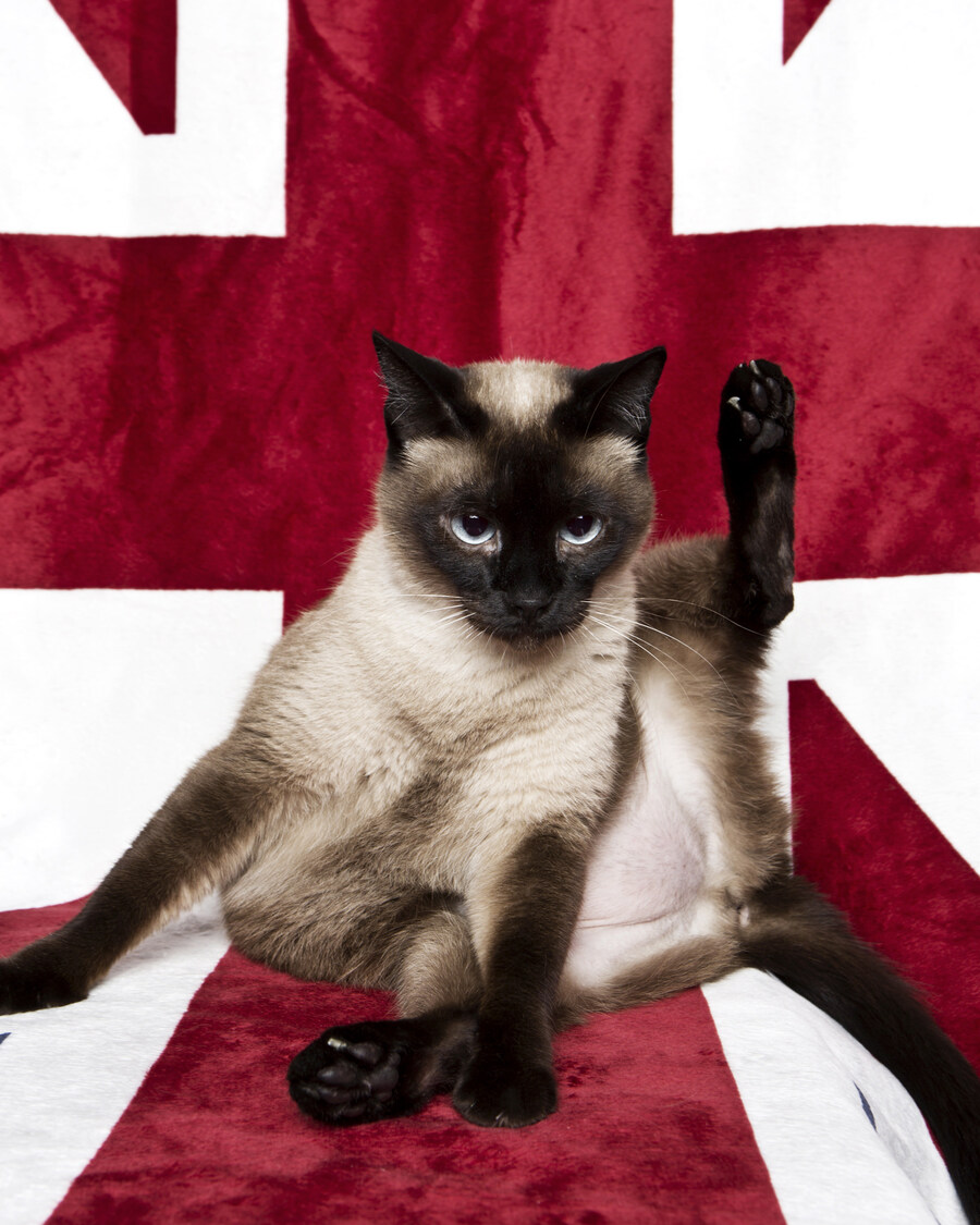 샤인이 보고가세요2_5.jpg