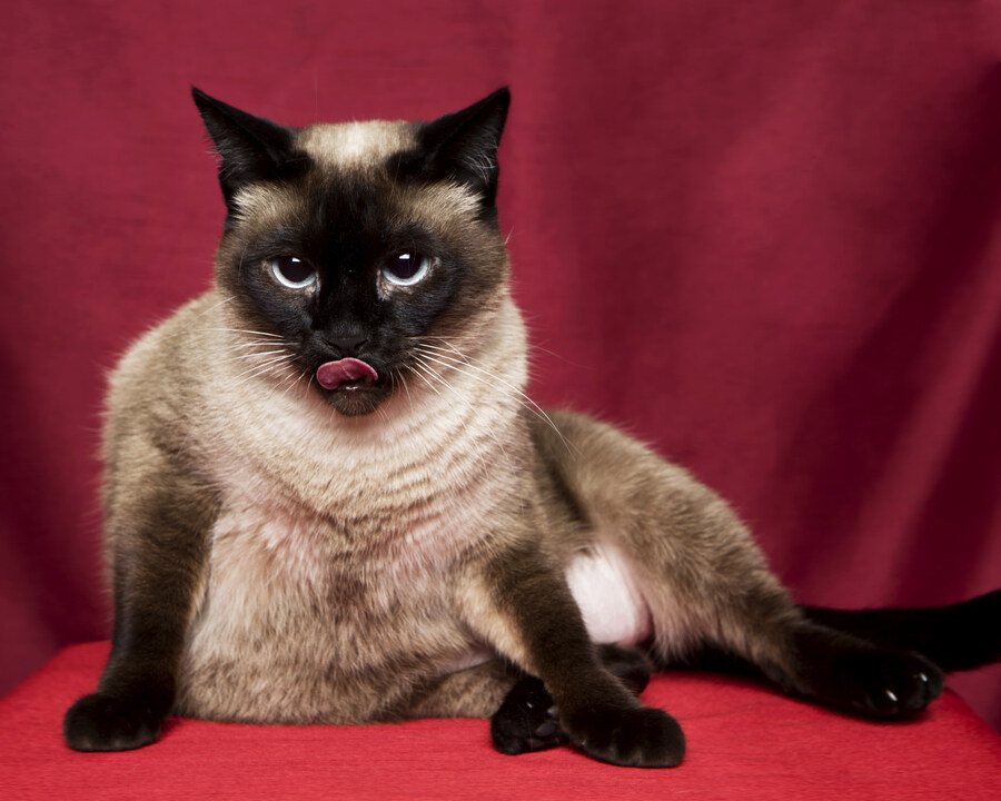 샤인이 보고가세요2_7.jpg