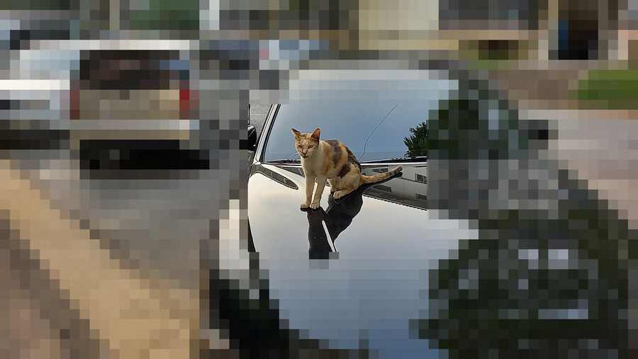 베스트 400만원 고양이 스크래처의 대항마! 침대 겸 스크래처_5.jpg