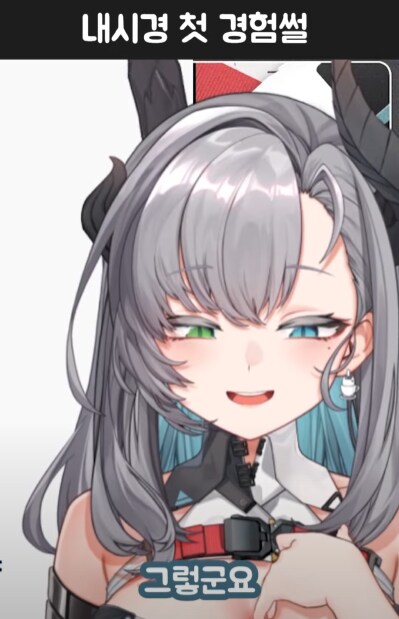 버미육)어떤 버미육의 수면 내시경 썰_31.png