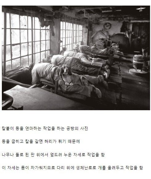 19세기 강아지들의 직업_1.jpg