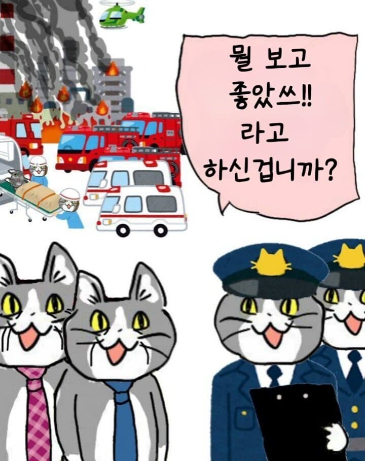 [넨도로이드] 일하는 고양이가 피규어로 나왔다고? 좋았쓰!!!_13.jpg