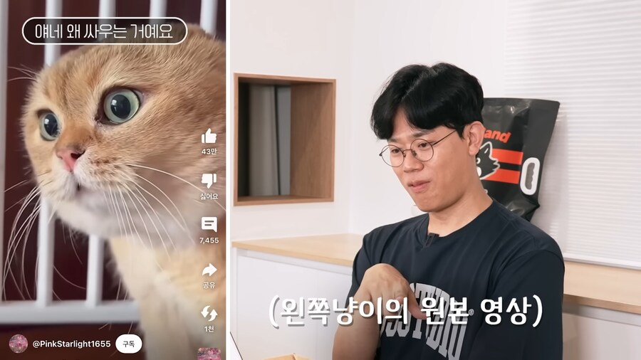 고양이 밈을 본 수의사 반응.jpg_2.png