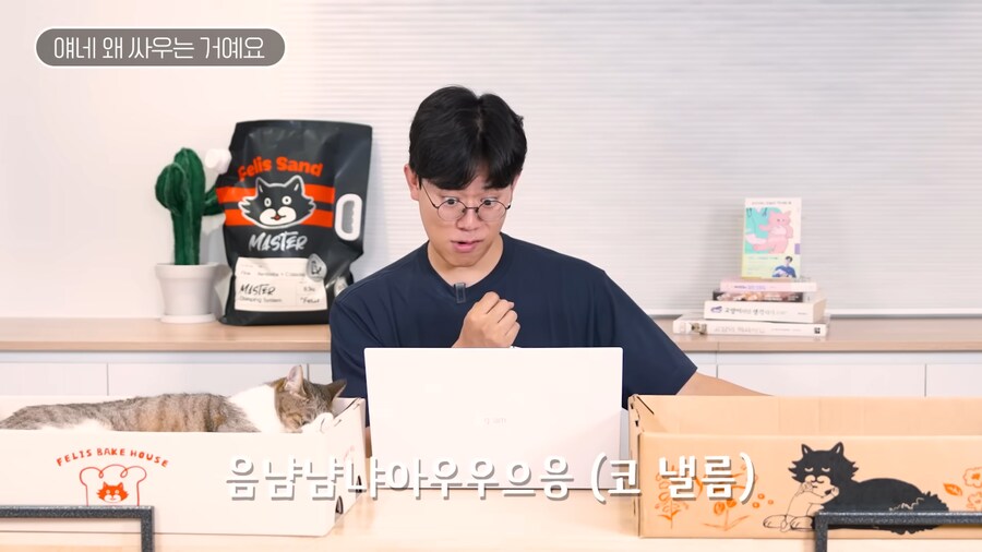 고양이 밈을 본 수의사 반응.jpg_3.png